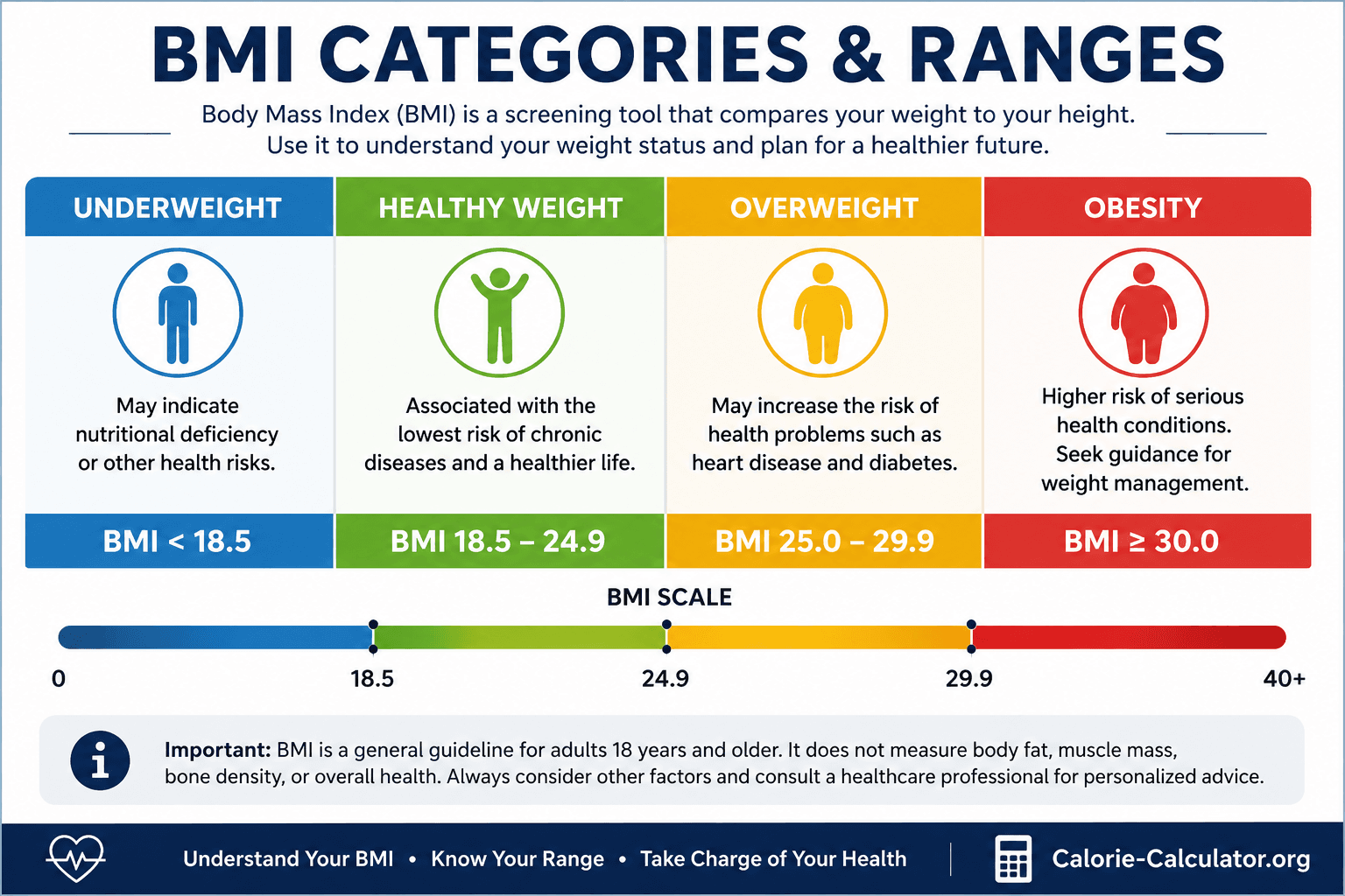 BMI categories chart showing underweight below 18.5, healthy weight 18.5–24.9, overweight 25–29.9, and obesity 30 or higher
