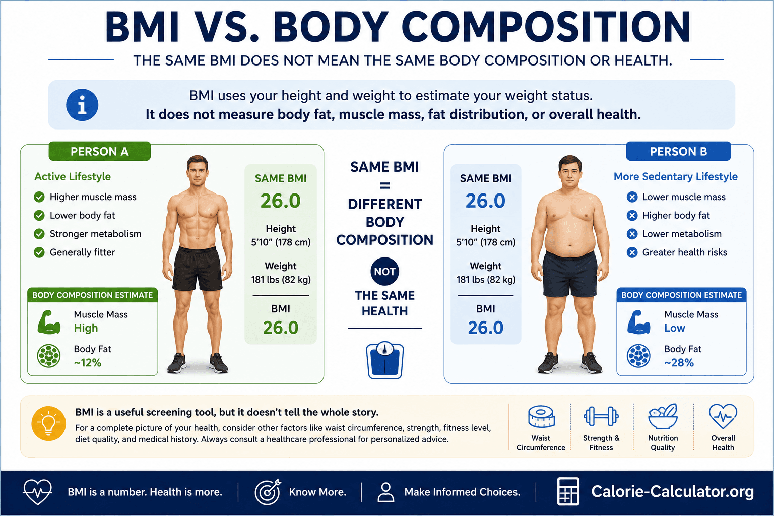 BMI versus body composition illustration showing why people with similar BMI scores can have different body fat and muscle levels