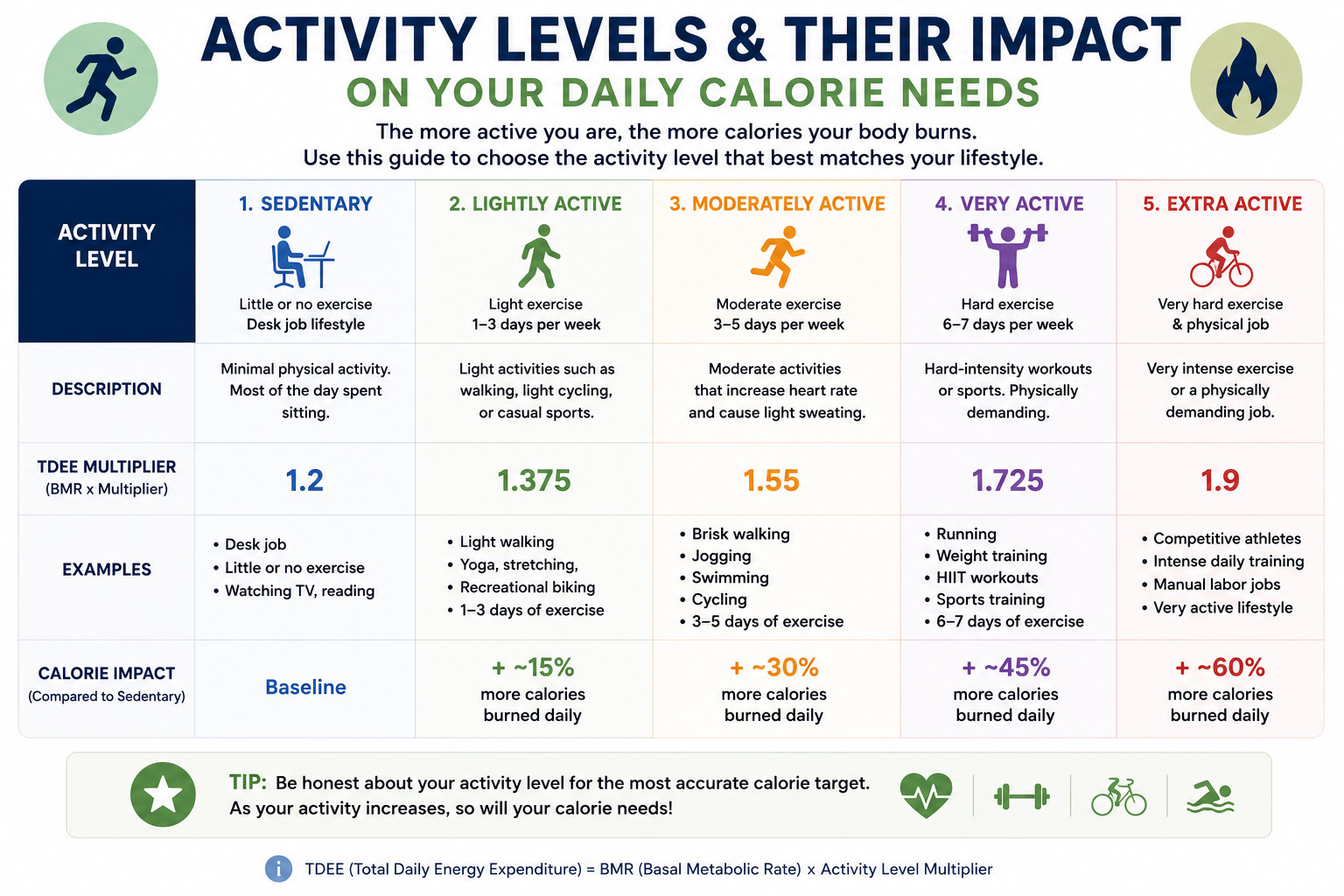 Activity level chart comparing sedentary, lightly active, moderately active, and very active calorie needs.